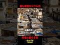 【世界の闇】墓地に50万人が住む世界で最も異常なスラム【エジプト】 #shorts #アフリカ