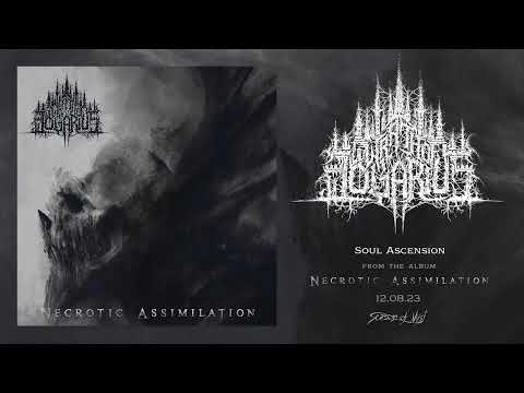 Wrath of Logarius - "Soul Ascension" (Official Audio) 2023