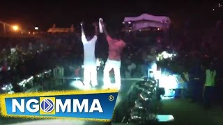 Jaguar In Burundi 2 Live Perfomance