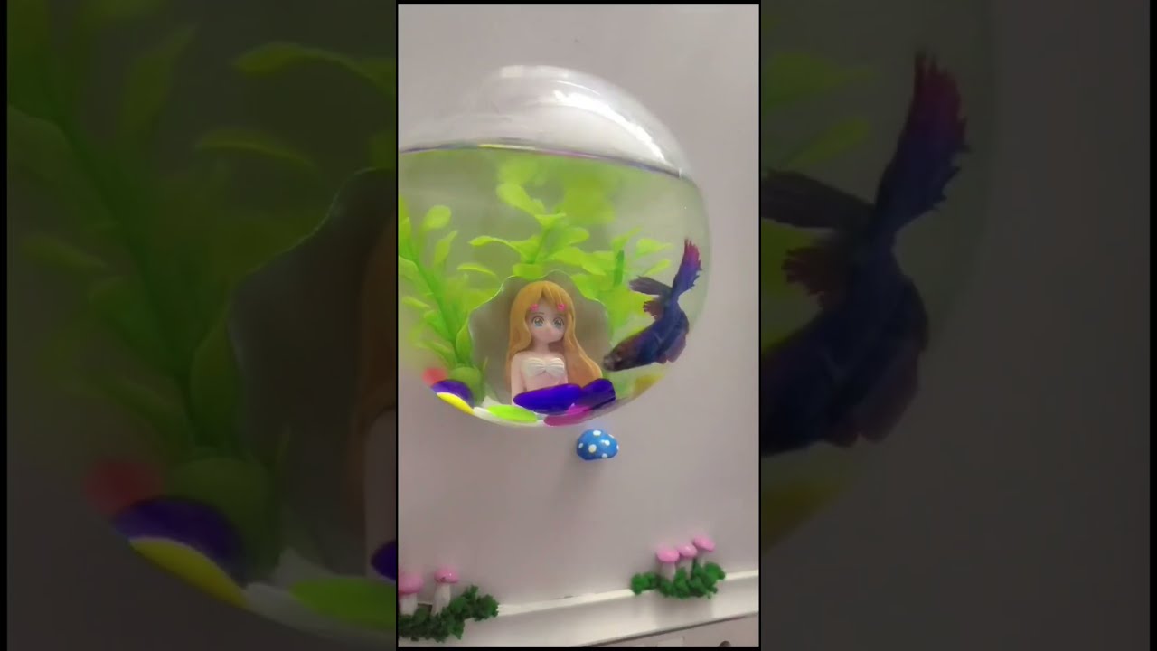 Wall Mount Hanging Aquarium Betta Fish Tank Glass Bowl For Small WaterPlants Fishs