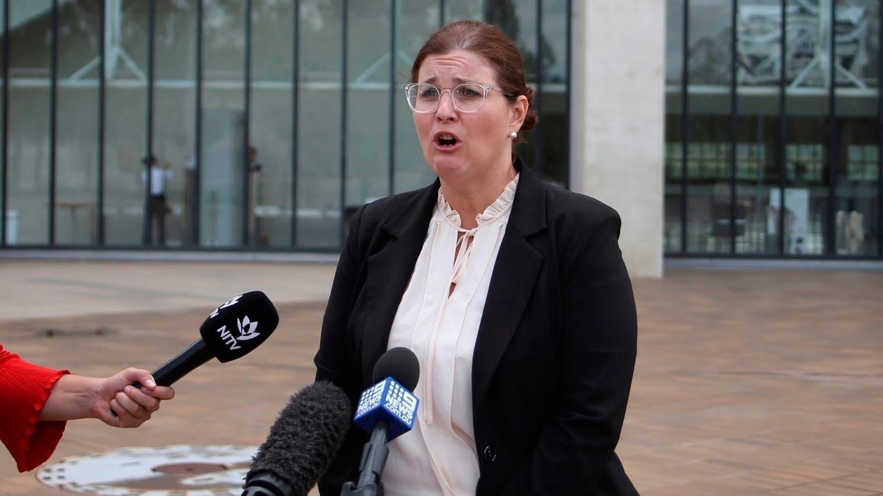 High Court decision should have been 'put to the people in a referendum'