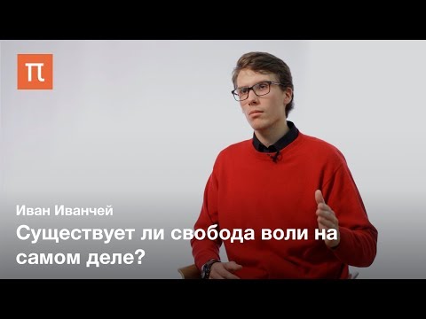 Изучение сознания в когнитивной психологии — Иван Иванчей