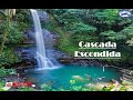 Cascada escondida Amazonía Ecuatoriana - Moto Aventura