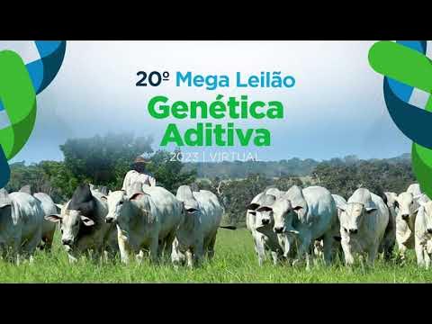 20° Mega Leilão Virtual Genética Aditiva - 2ª Etapa - Canal do Criador