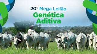 20° Mega Leilão Virtual Genética Aditiva - 2ª Etapa - Canal do Criador