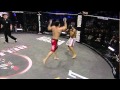 Bellator MMA Moment: Patricky Pitbull Devastating Flying Knee