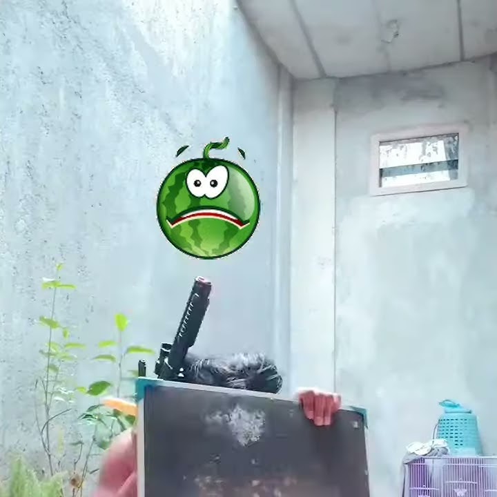 Penyanyi jatuh dari panggung | dagelan jowo | tembak sasaran | dagelan jowo | story video lucu