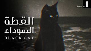 قصص جن : القطة السوداء ..(الجزء الاول) .‼️