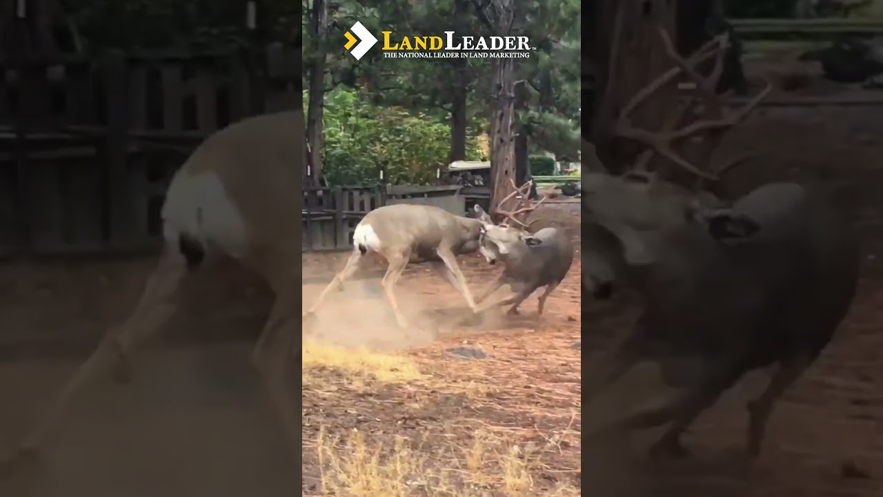 Tranquil Riverfront Home for Sale | Klamath County, Oregon | Available