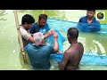 Black carp fish dhani pona bringing &amp; released into pond #fish #fishlovers