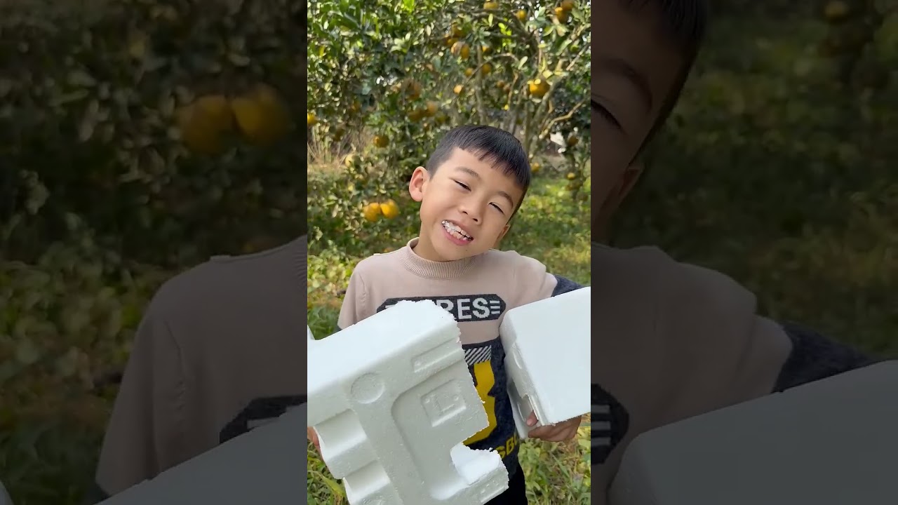 Kỹ năng sinh tồn: bà mẹ đơn thân thể hiện ý tưởng THÔNG MINH và HỮU ÍCH trong rừng#outdoor