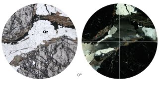 Virtual Microscope: Γρανάτης, Χαλαζίας / Garnet, Quartz Profile