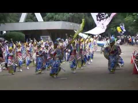 礼神伝shall稲毛　with 響ジャパン　よさこい祭りIN光が丘公園2016　イチョウ並木演舞