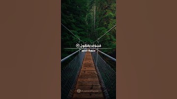 رُّبَمَا يَوَدُّ ٱلَّذِينَ كَفَرُواْ لَوْ كَانُواْ مُسْلِمِينَ - سورة الحجر بصوت القارئ هزاع البلوشي