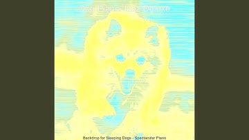 Pulsating Moods for Relaxing Dogs