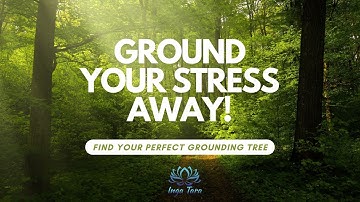 Find Inner Calm: The Power of Tree Hugging & Grounding