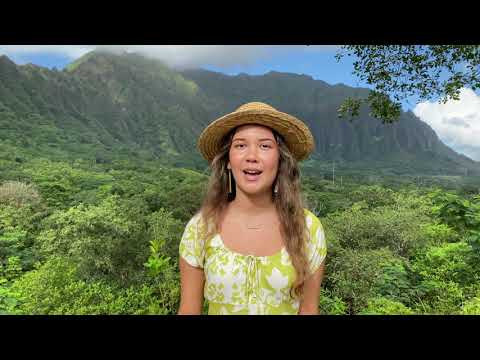 Mo&rsquo;olelo Pōkole – Learning Hawaiian Through Story | Mya Hunter