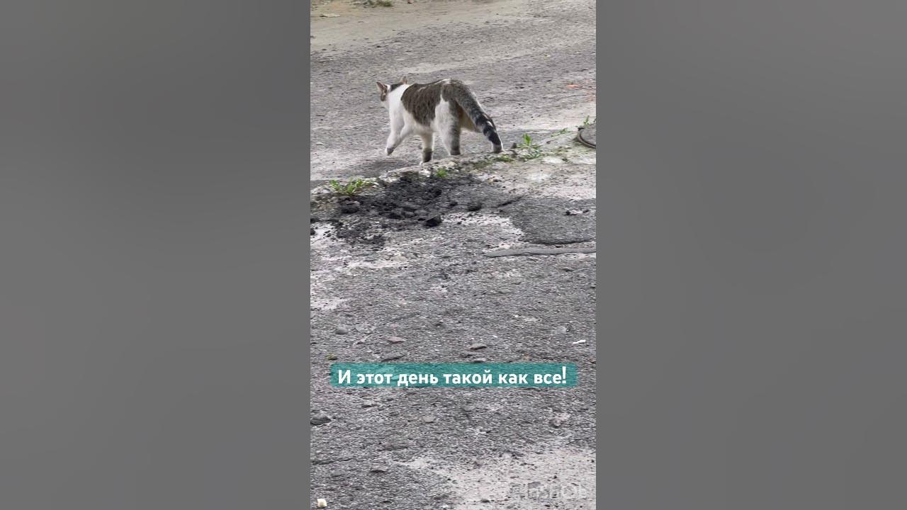 Это тоже пройдет. #соломон - YouTube