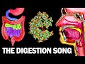 The digestive system song