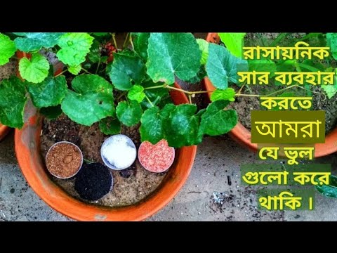 ভিডিও: আমরা নিজেরাই সার প্রস্তুত করি। পার্ট 3