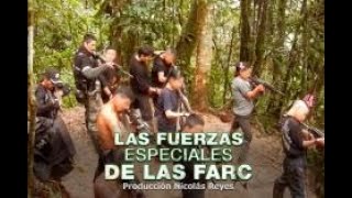 Hombres de Al Qaeda entrenaron a las FARC, dicen desmovilizados