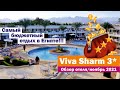 Свежий обзор отеля Viva Sharm 3* за ноябрь 2021 г. Египет Шарм-Эль-Шейх.