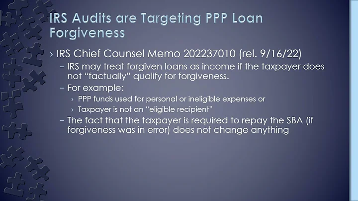 IRS Audit Alert   PPP Loans
