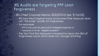 IRS Audit Alert   PPP Loans