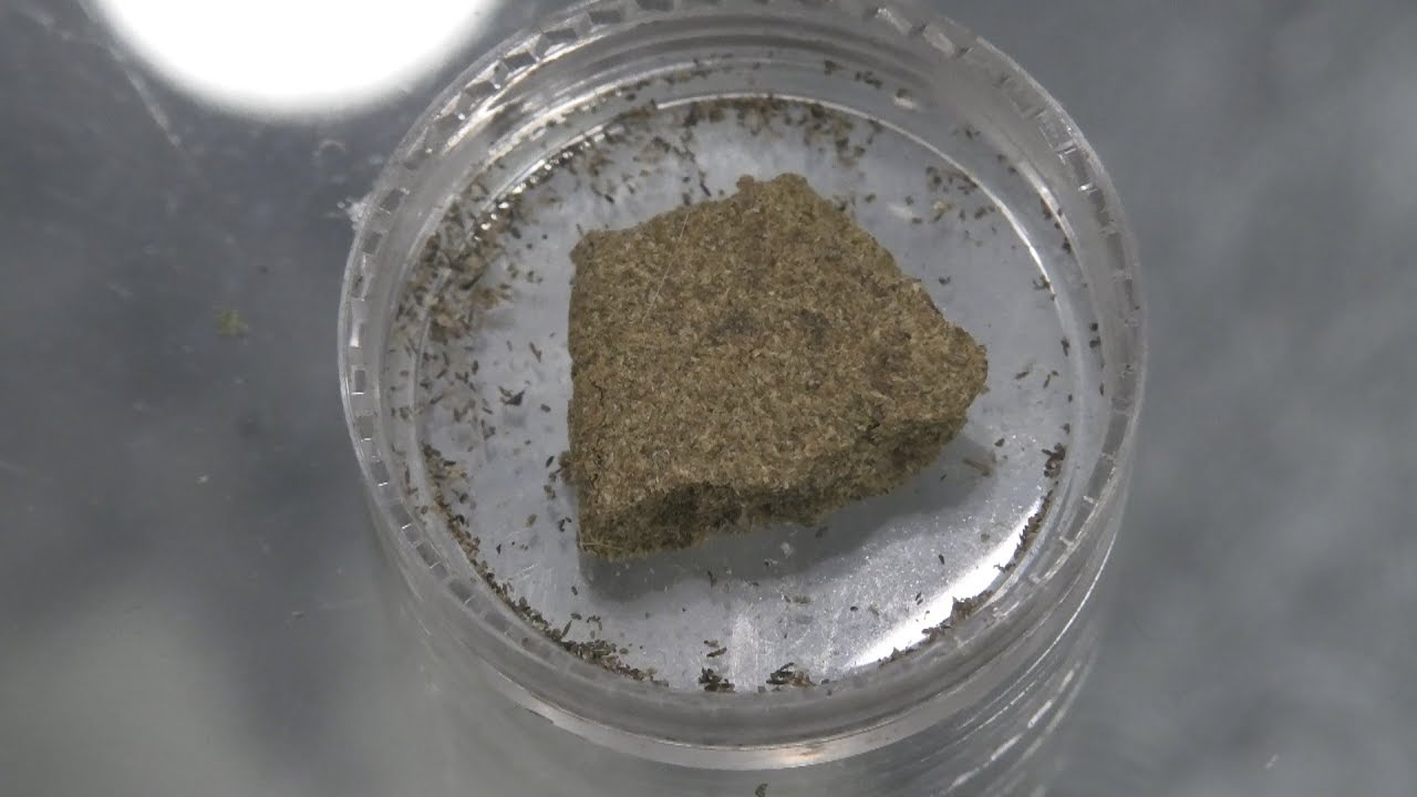 Dirty Blonde Hash Wednesday