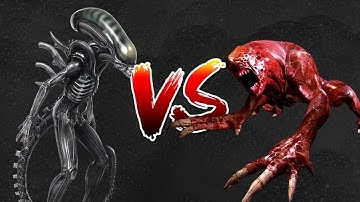 Xenomorph VS Licker - Head to Head Fight (Alien VS Resident Evil)