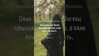 Безграничная милость Всевышнего Аллаха 💌 #ислам #хадис