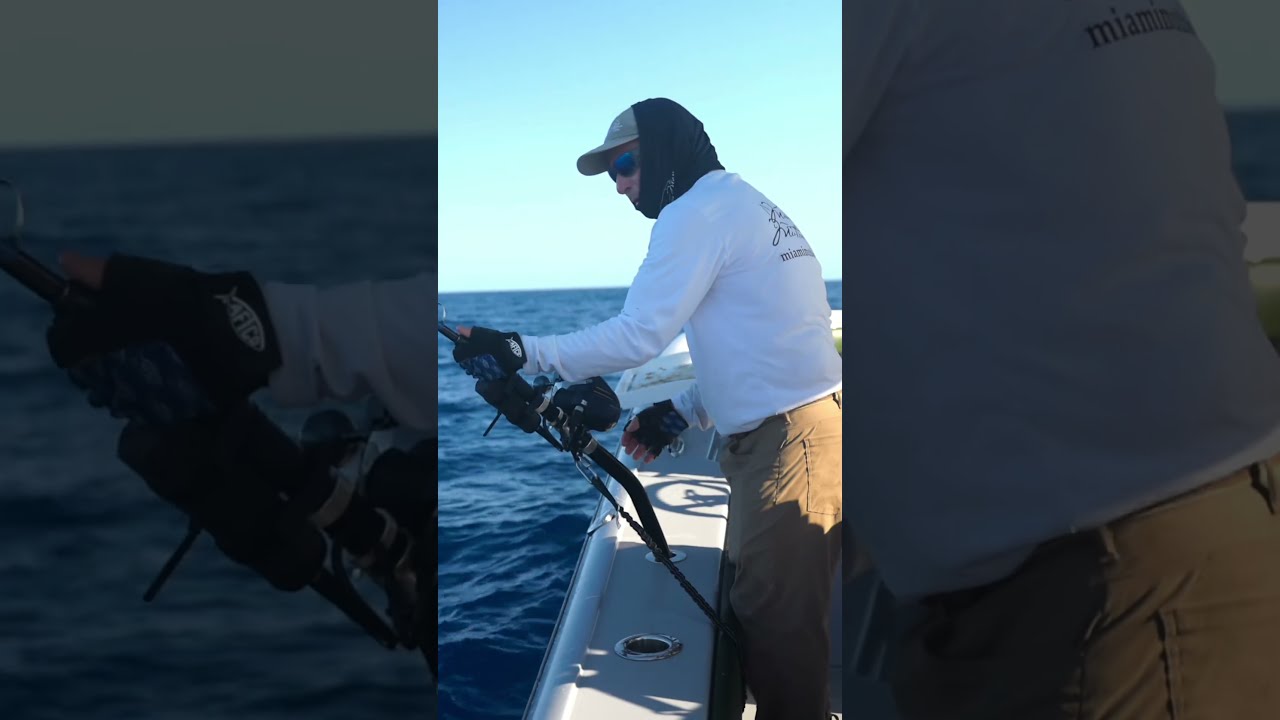 Mutton Man Brings Up Before Sharks Attack