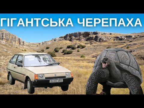 Мегалохеліс: істота завбільшки з автомобіль