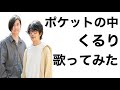 ポケットの中/くるり(歌ってみた)