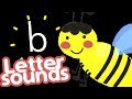 Teach a child how to read - Letter sounds phonetics - Animals names - Lower case only