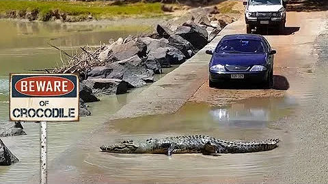 Cahill's Crossing The World's Deadliest Crossing