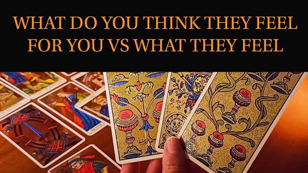 PICK A CARD: WHAT DO YOU THINK THEY FEEL FOR YOU VS WHAT THEY FEEL. TIMELESS TAROT READING.