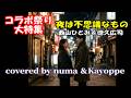 コラボ祭り大特集④「夜は不思議なもの」／西山ひとみ＆徳久広司　🎤covered by numa ＆ kayoppe