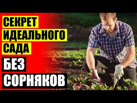 Истребление трав посевов