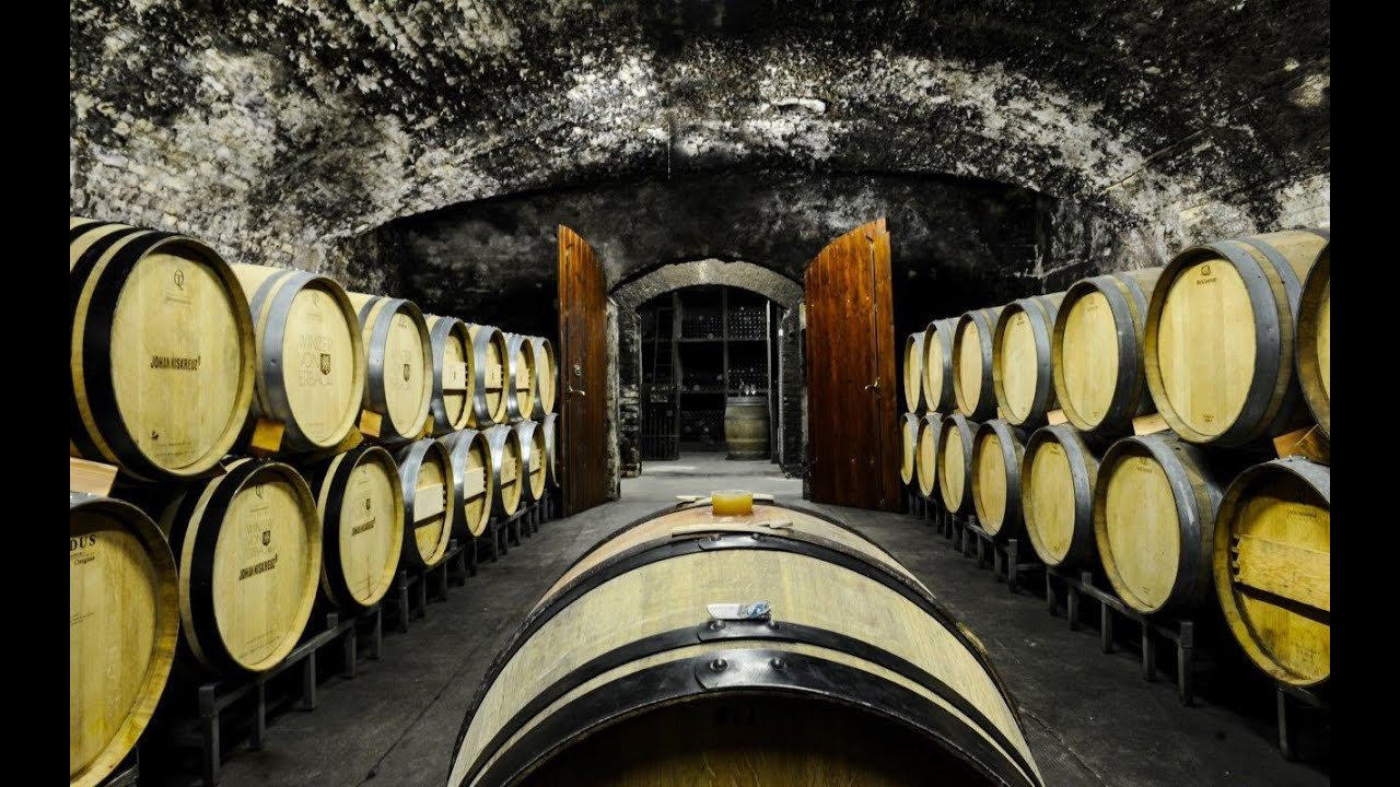 Winzer von erbach. Winzer von erbach. Winzer von erbach. вино целтингер зонненур рислинг ауслезе. Winzer von erbach.