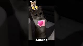 🍿 Почему тараканов почти НЕВОЗМОЖНО убить? 😵 #shorts #viral #science