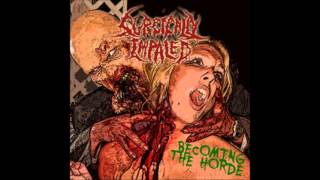 Surgically Impaled - Violence Surrounds Me