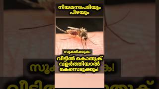 കൊതുക് വളർന്നാൽ പണികിട്ടും! നിയമനടപടിയും പിഴയും ⚖️ #malayalamnews #shorts