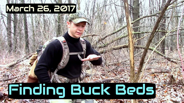Scouting New Public | Finding Buck Beds | Iowa Vlog 13