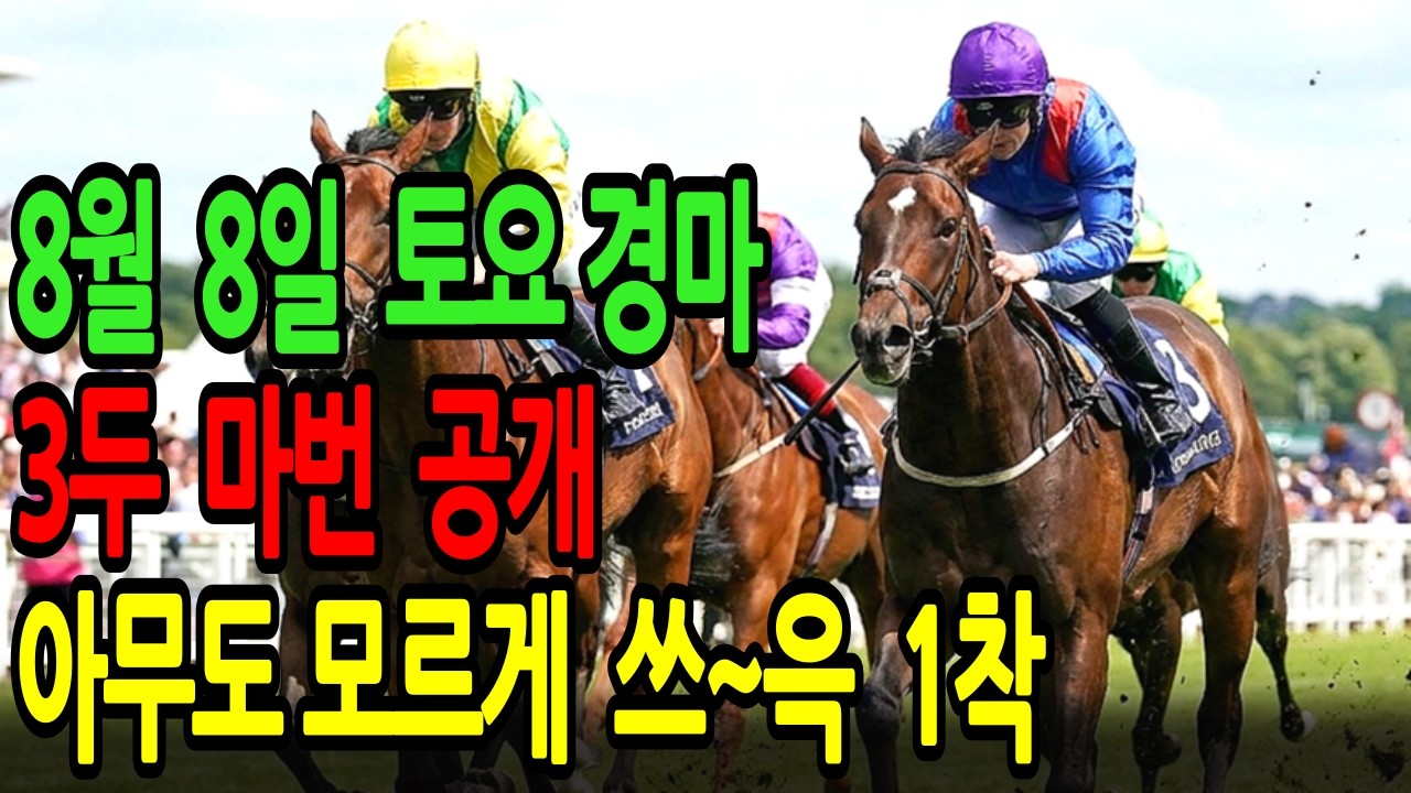 8월 8일 토요일 경마~ 아무도 모르게 쓰~윽 1착, 괴물급 복병 등장! ㅣ승전경마 전문가의 이변 포착 l 경마 l 경마예상 l 코리아레이스 l 검빛경마 ㅣ경마정보