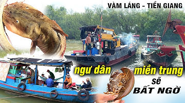 Ngư Dân Miền Trung Sẽ Bất Ngờ Về Hải Sản Tại Cảng Cá Vàm Láng Tiền Giang