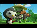 Octonauts octonauts special great swamp search