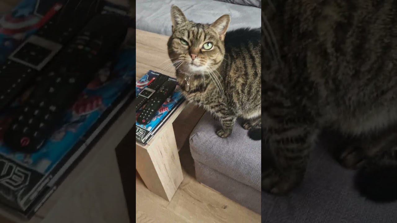 😻Kawaii Lucy❤️ 