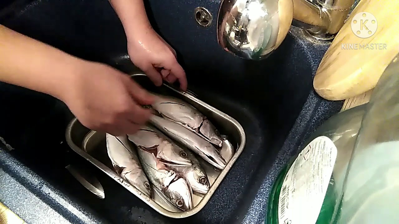 Isdang Alumahan paano Linisin dito sa Alemanya?!? | Mackerel fish in Germany
