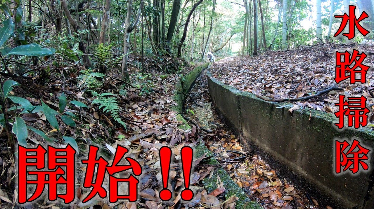 【2024】水路掃除開始‼️